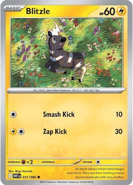 Image for Blitzle (031/086) [SV: White Flare] - Pokemon