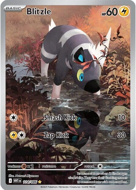 Image for Blitzle (114/086) [SV: White Flare] - Pokemon