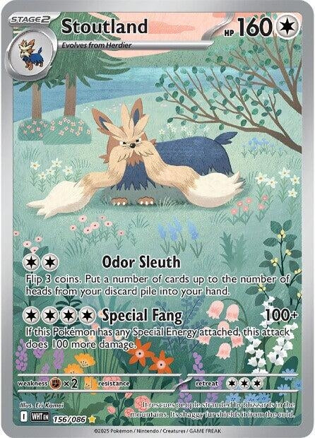 Image for Stoutland (156/086) [SV: White Flare] - Pokemon