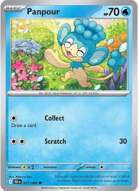 Image for Panpour (017/086) [SV: Black Bolt] - Pokemon