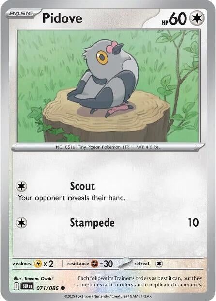 Image for Pidove (071/086) [SV: Black Bolt] - Pokemon