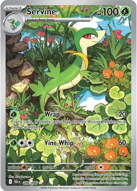 Servine (088/086) [SV: Black Bolt]