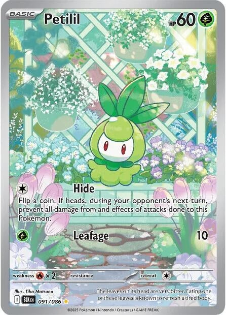 Image for Petilil (091/086) [SV: Black Bolt] - Pokemon