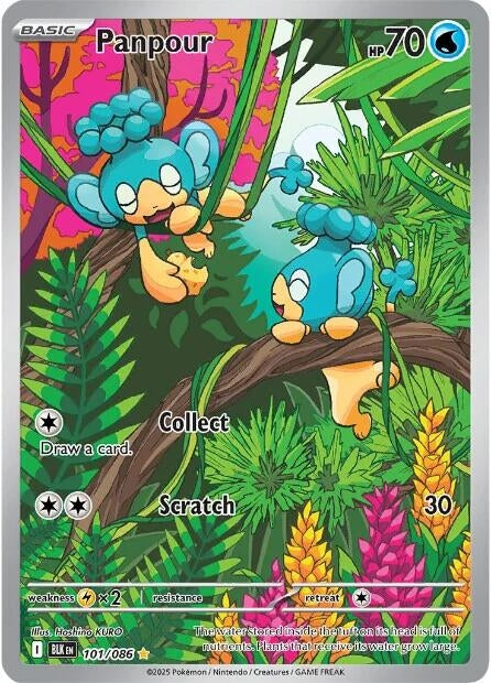 Image for Panpour (101/086) [SV: Black Bolt] - Pokemon
