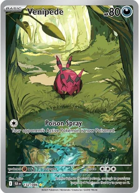 Image for Venipede (132/086) [SV: Black Bolt] - Pokemon