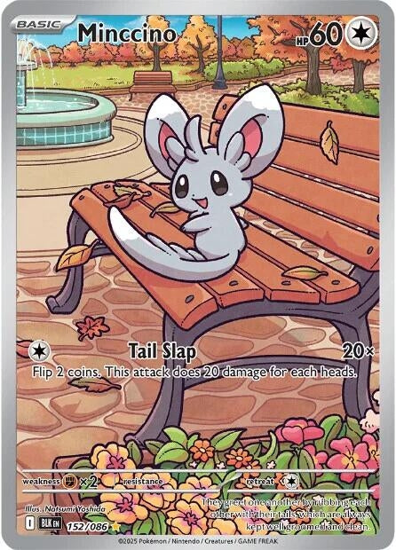 Image for Minccino (152/086) [SV: Black Bolt] - Pokemon