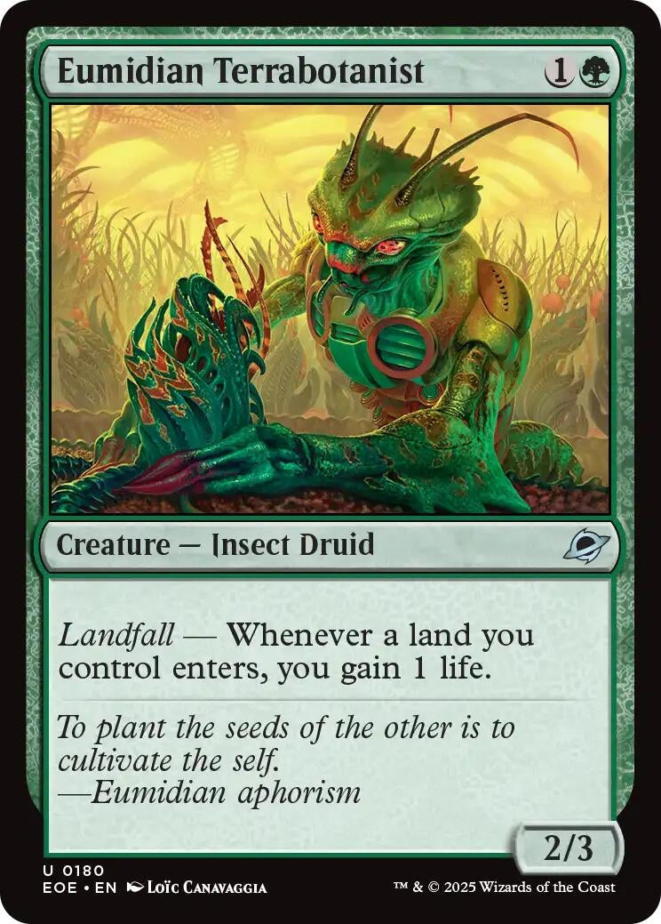 Image for Eumidian Terrabotanist (180) [Edge of Eternities] - Magic: The Gathering