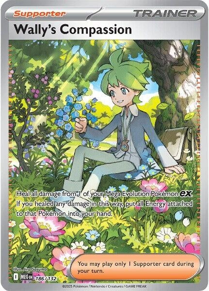 Image for Wally's Compassion (186/132) [ME01: Mega Evolution] - Pokemon