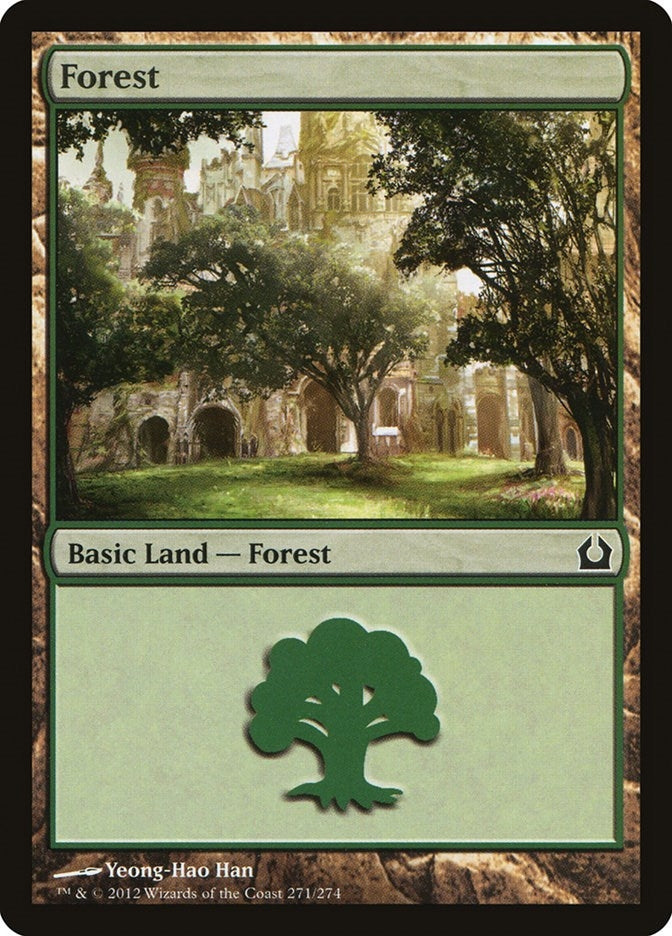 Image for Forest (271) (271) [Return to Ravnica] - Magic: The Gathering