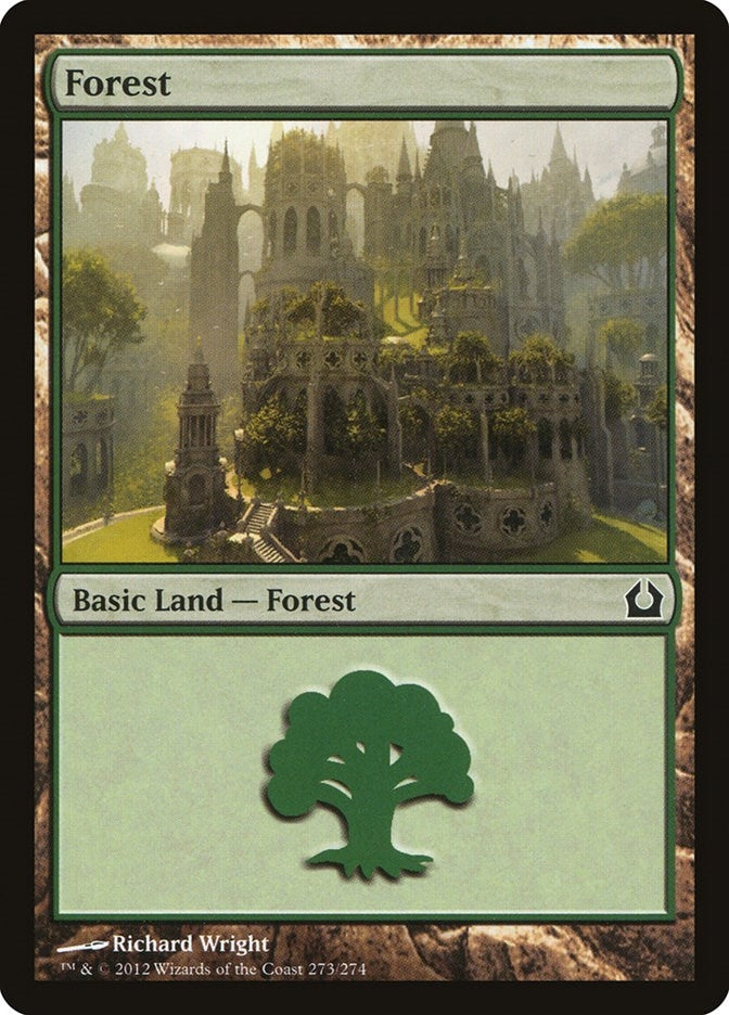 Image for Forest (273) (273) [Return to Ravnica] - Magic: The Gathering
