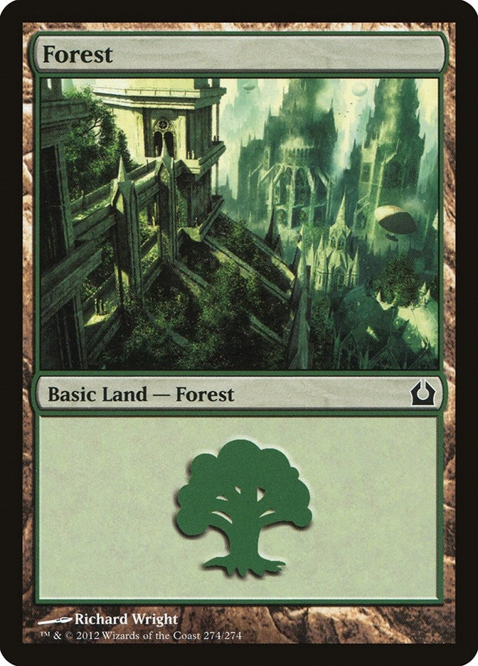 Image for Forest (274) (274) [Return to Ravnica] - Magic: The Gathering