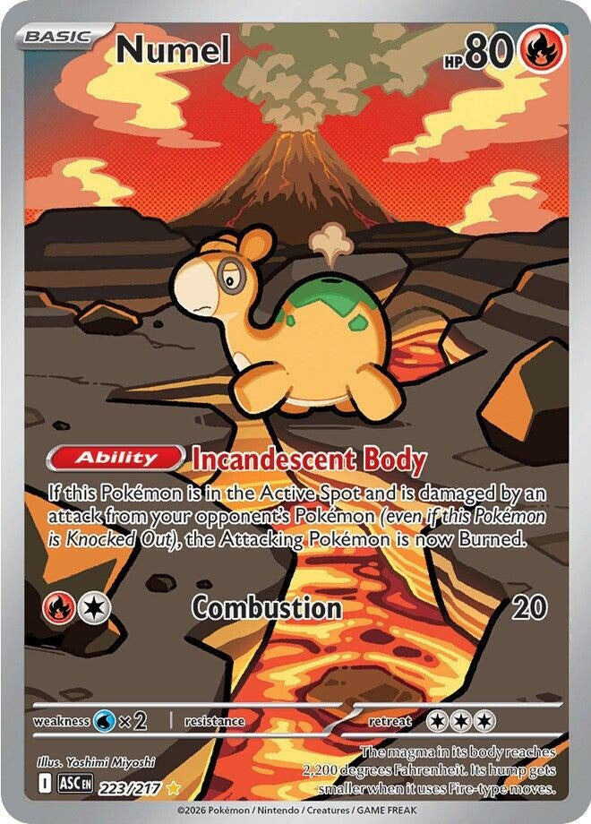 Image for Numel (223/217) [ME: Ascended Heroes] - Pokemon
