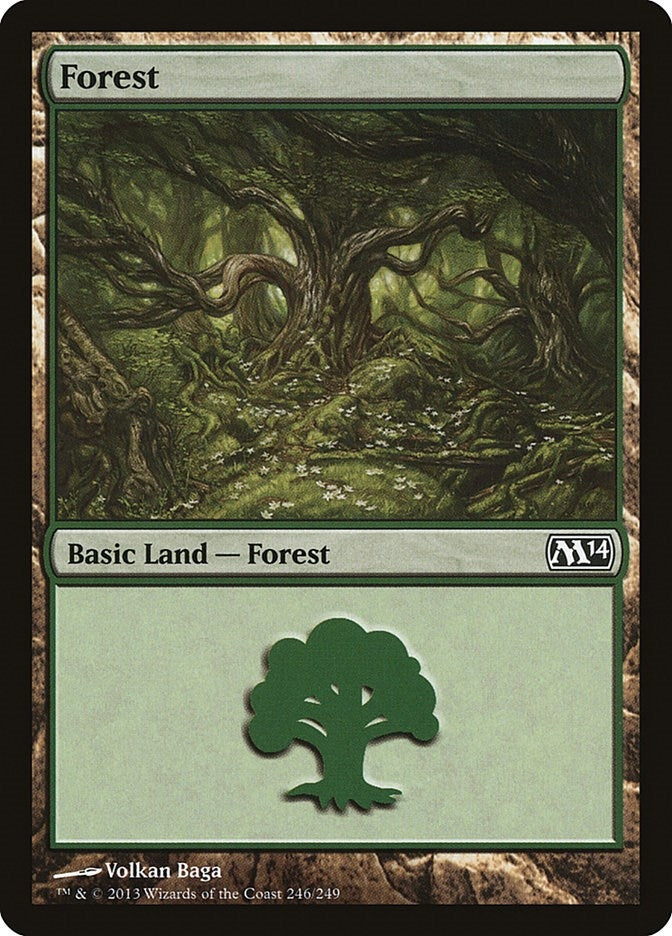 Image for Forest (246) (246) [Magic 2014 (M14)] - Magic: The Gathering