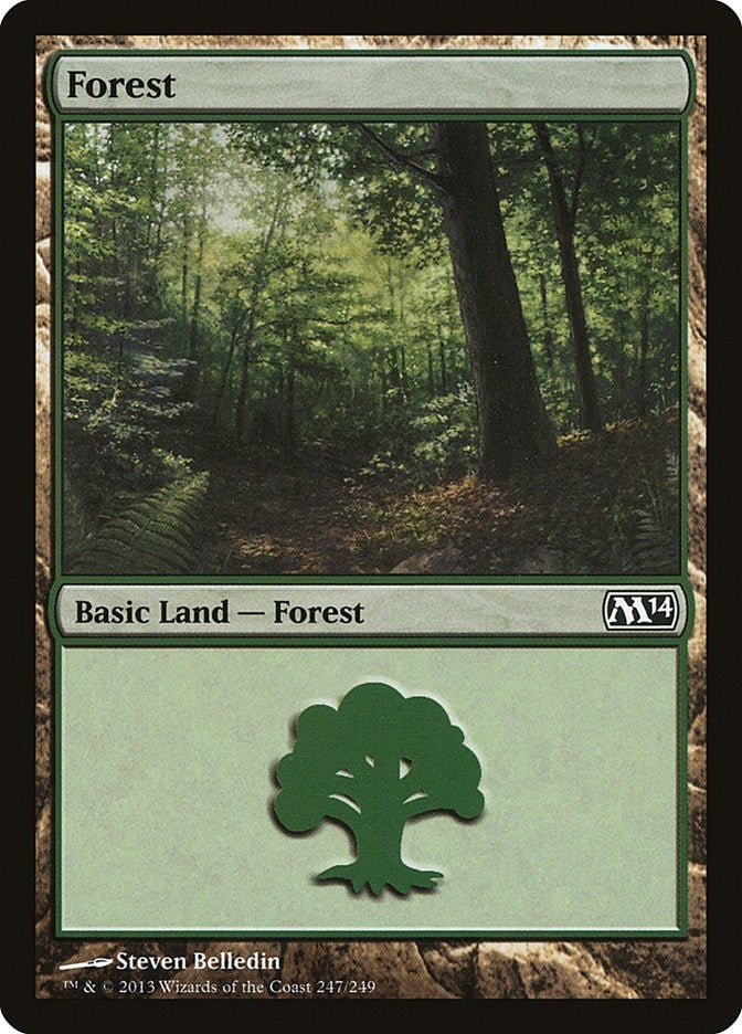 Image for Forest (247) (247) [Magic 2014 (M14)] - Magic: The Gathering