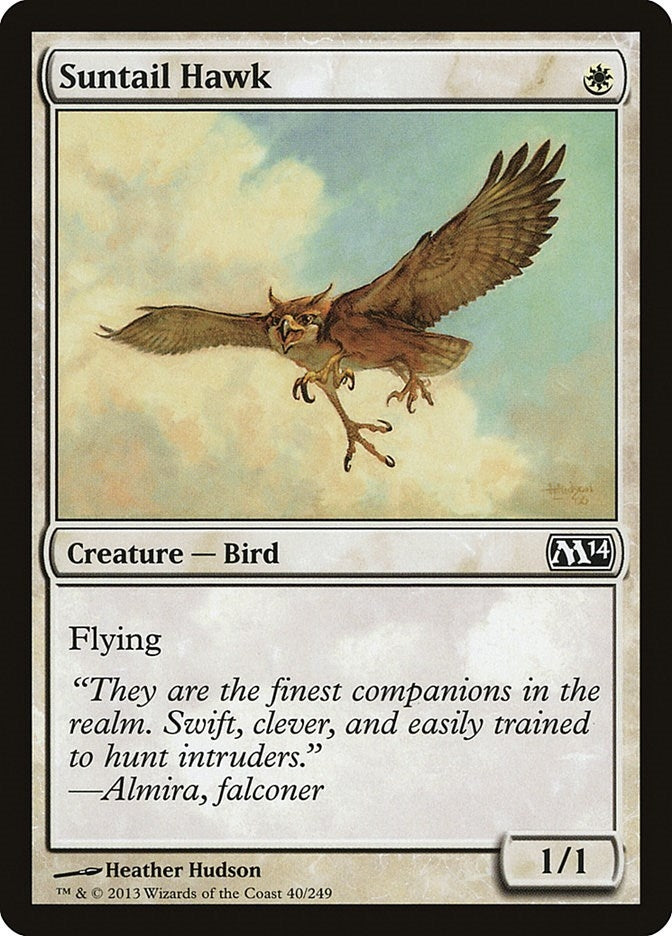Image for Suntail Hawk (40) [Magic 2014 (M14)] - Magic: The Gathering