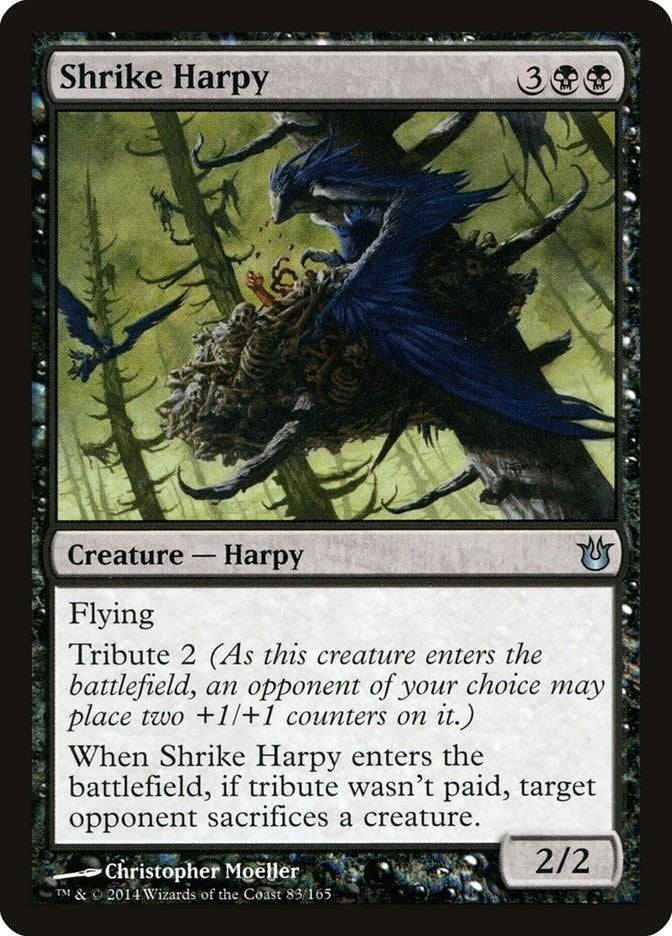 Image for Shrike Harpy (83) [Born of the Gods] - Magic: The Gathering