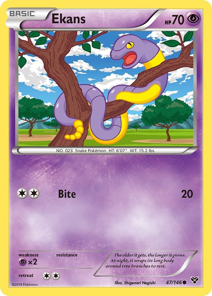 Image for Ekans (47/146) [XY Base Set] - Pokemon