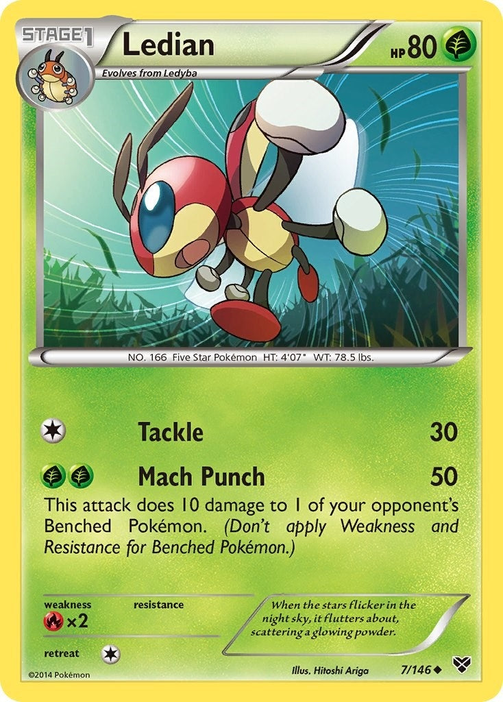 Image for Ledian (7/146) [XY Base Set] - Pokemon
