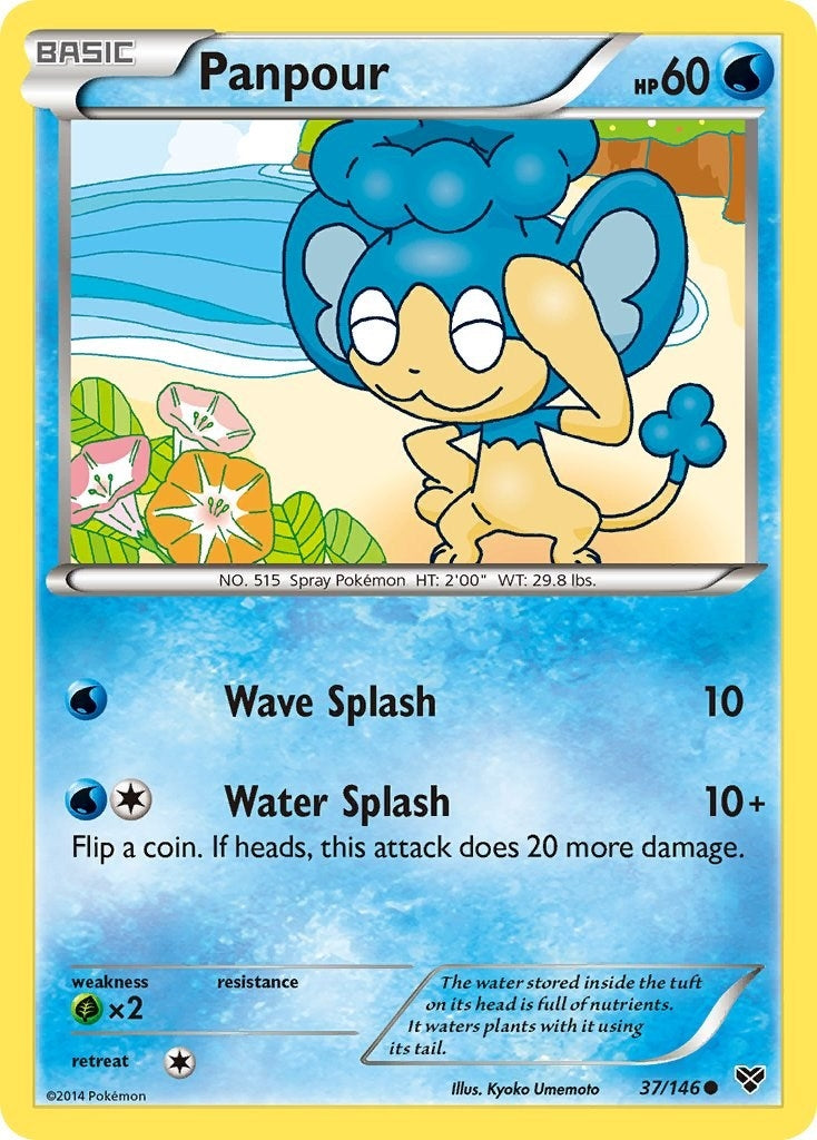 Image for Panpour (37/146) [XY Base Set] - Pokemon