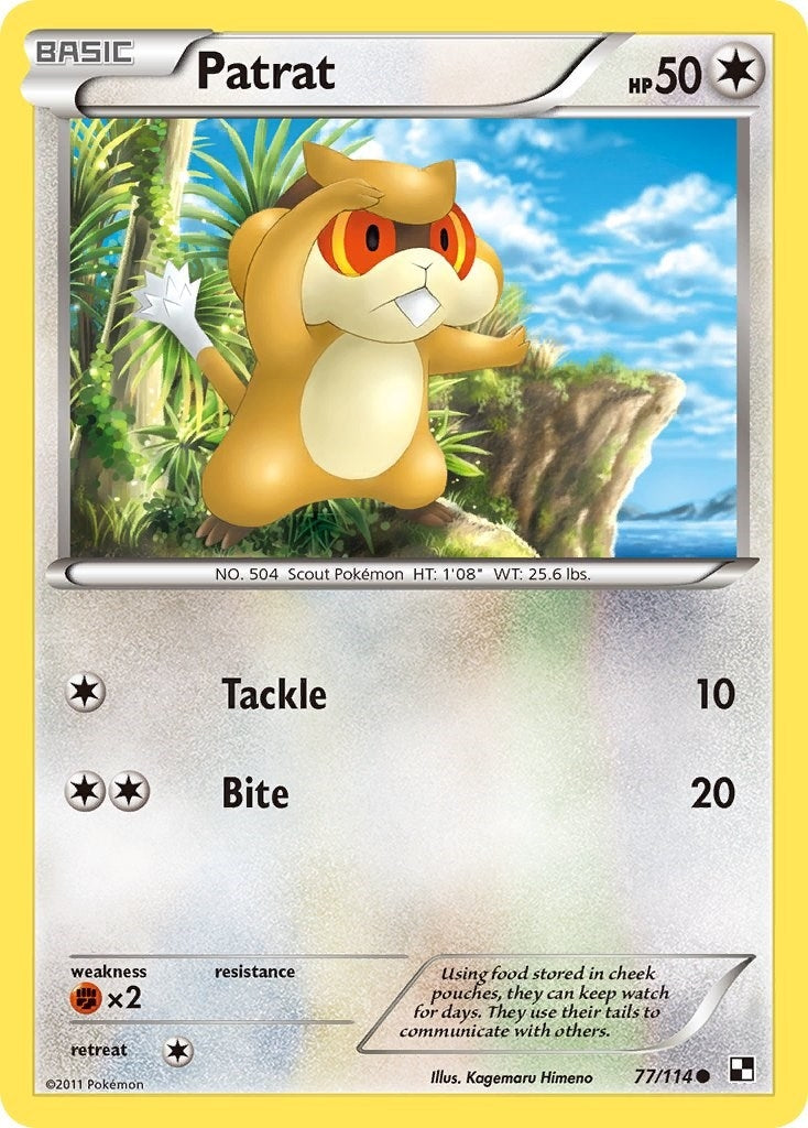 Image for Patrat (77) (77/114) [Black and White] - Pokemon