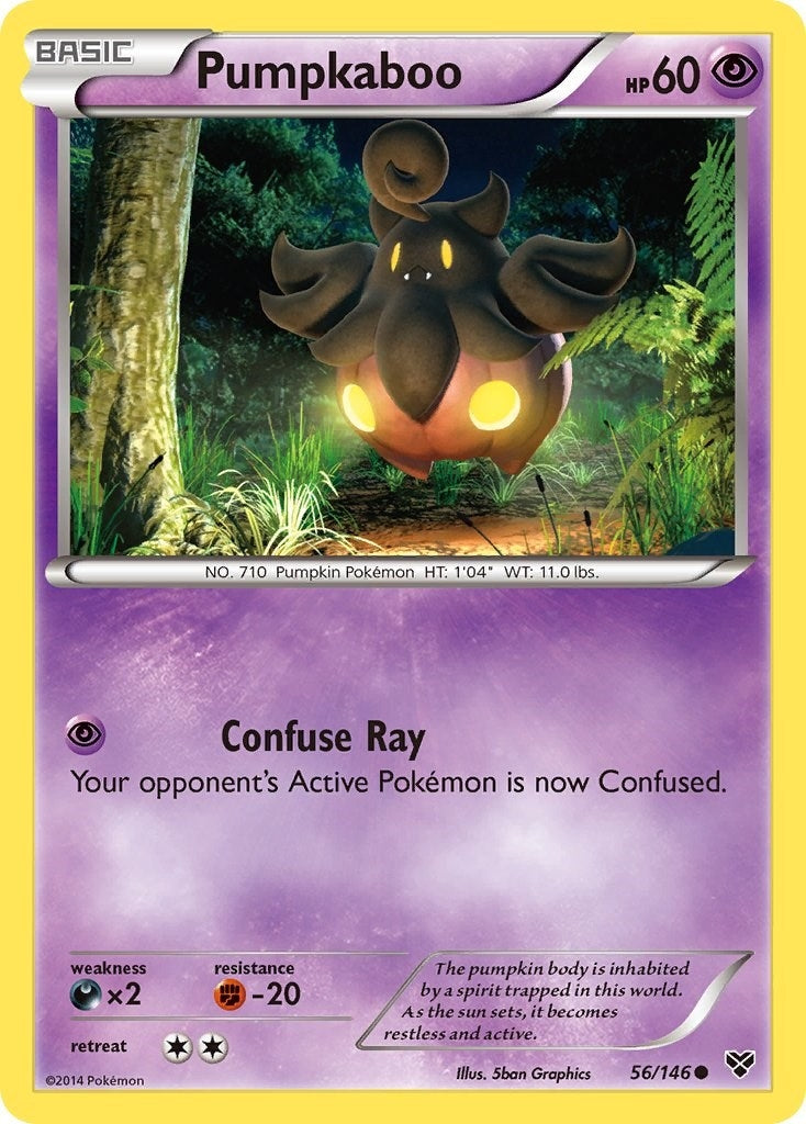Image for Pumpkaboo (56/146) [XY Base Set] - Pokemon