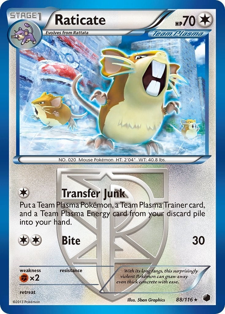 Raticate (Team Plasma) (88/116) [Plasma Freeze]