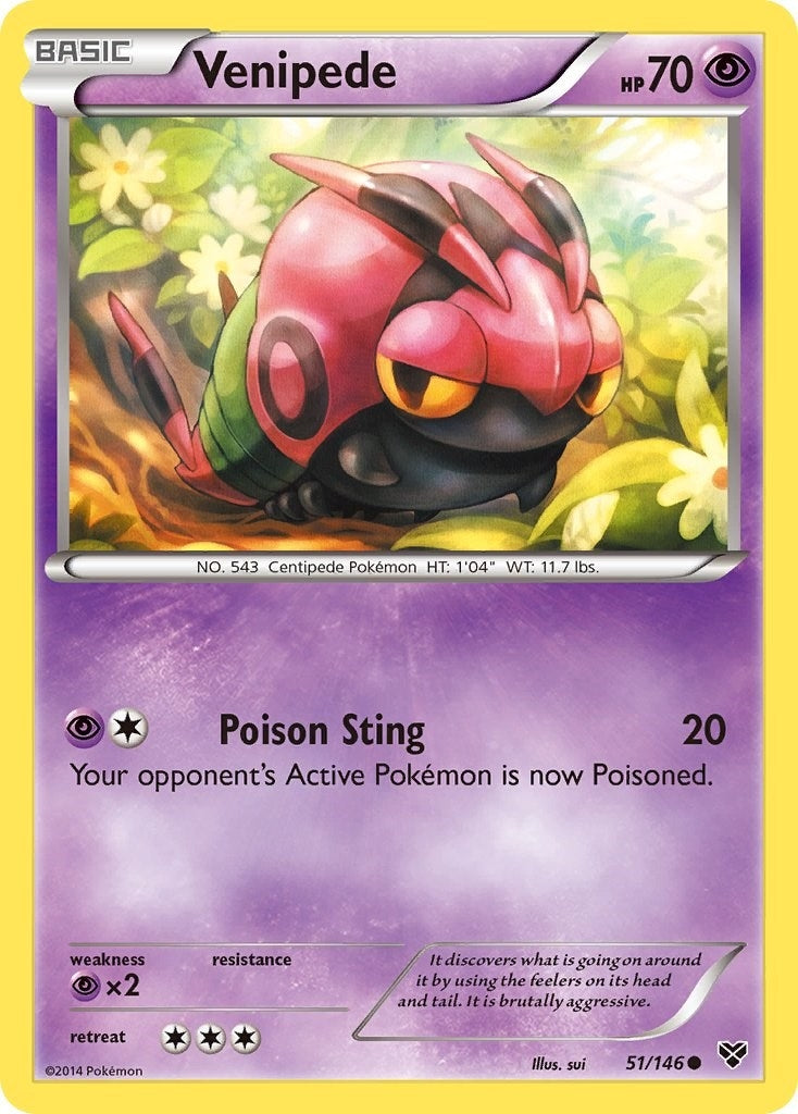 Image for Venipede (51/146) [XY Base Set] - Pokemon