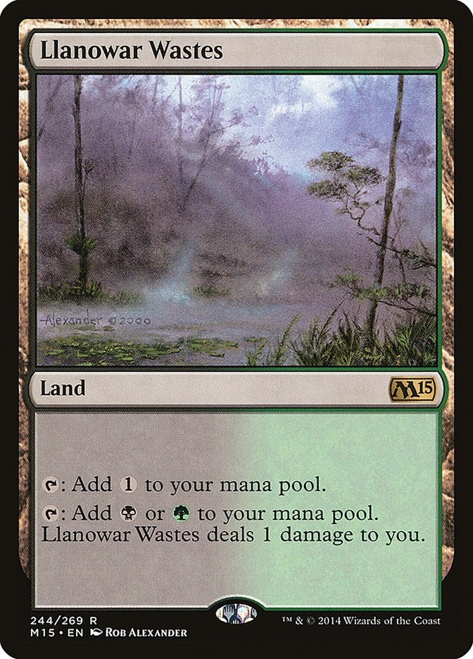 Image for Llanowar Wastes (244) [Magic 2015 (M15)] - Magic: The Gathering