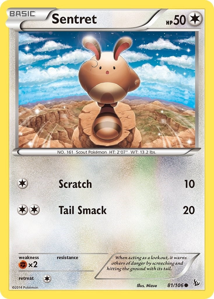 Image for Sentret (81/106) [XY - Flashfire] - Pokemon