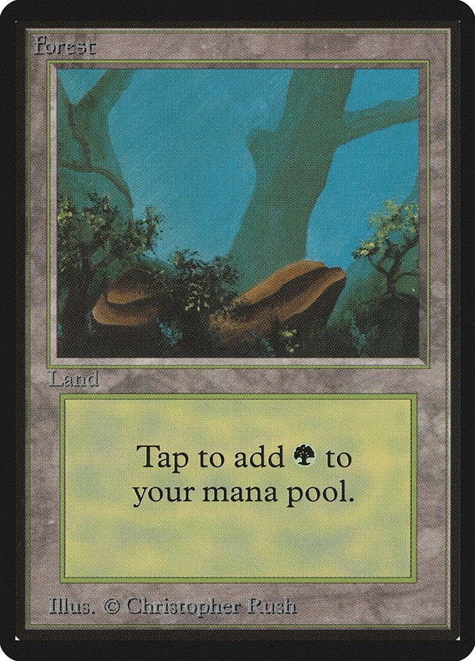 Image for Forest (A) [Beta Edition] - Magic: The Gathering