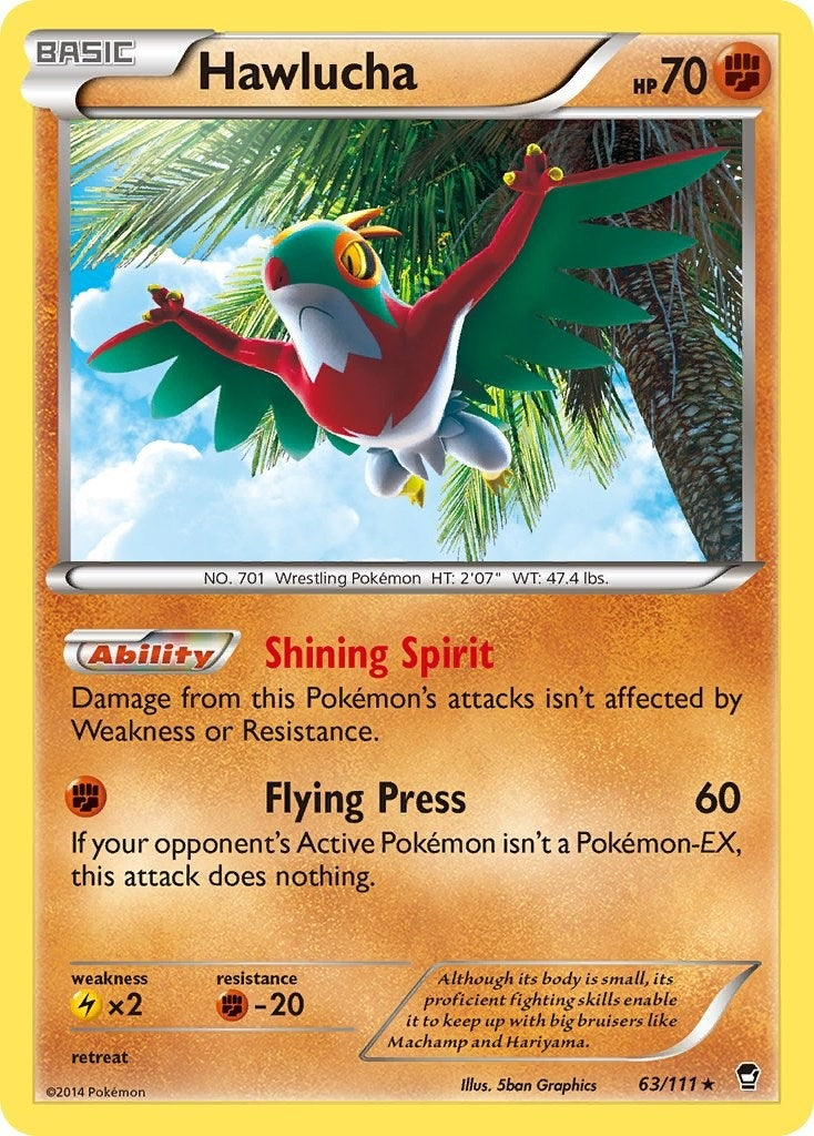 Hawlucha (63/111) [XY - Furious Fists]