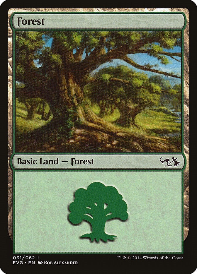 Image for Forest (031) (EVG) (31) [Anthology] - Magic: The Gathering