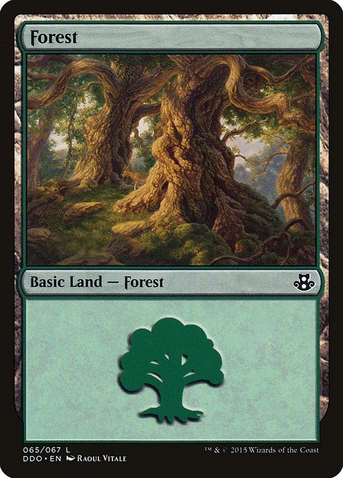 Image for Forest (065) (65) [Elspeth vs. Kiora] - Magic: The Gathering