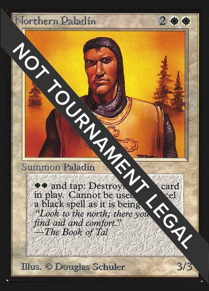 Image for Northern Paladin (IE) [International Edition] - Magic: The Gathering