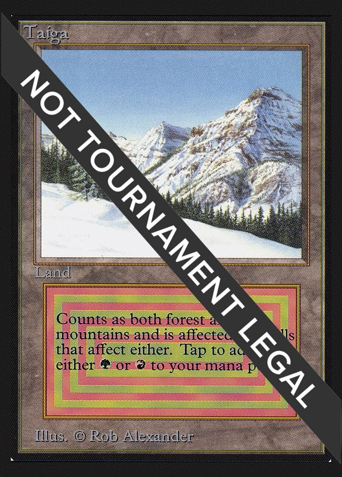 Image for Taiga (IE) [International Edition] - Magic: The Gathering