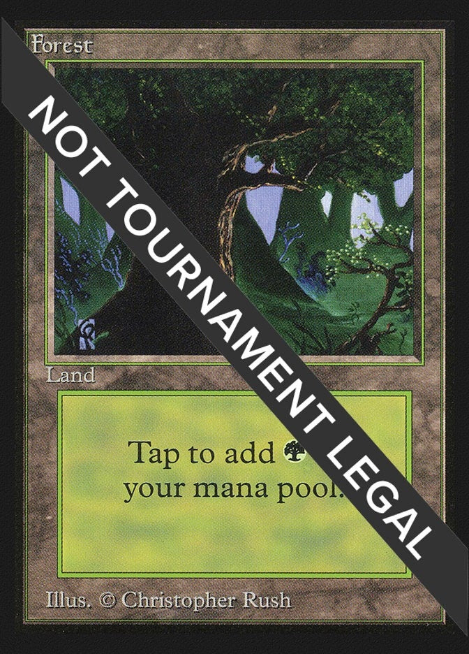 Image for Forest (C) (IE) (282) [International Edition] - Magic: The Gathering