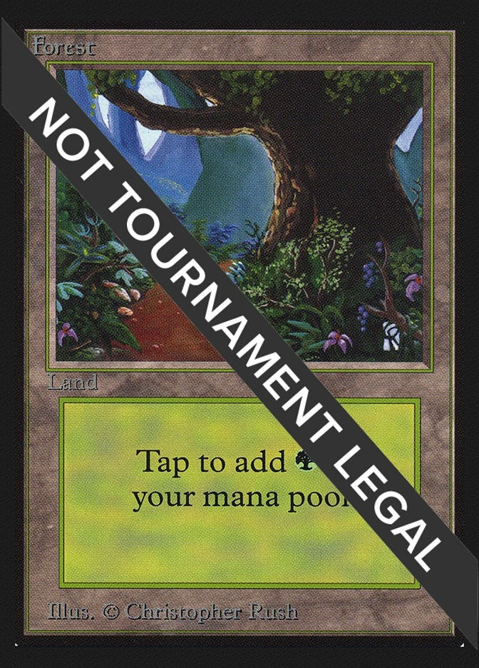 Image for Forest (B) (CE) (281) [Collector's Edition] - Magic: The Gathering