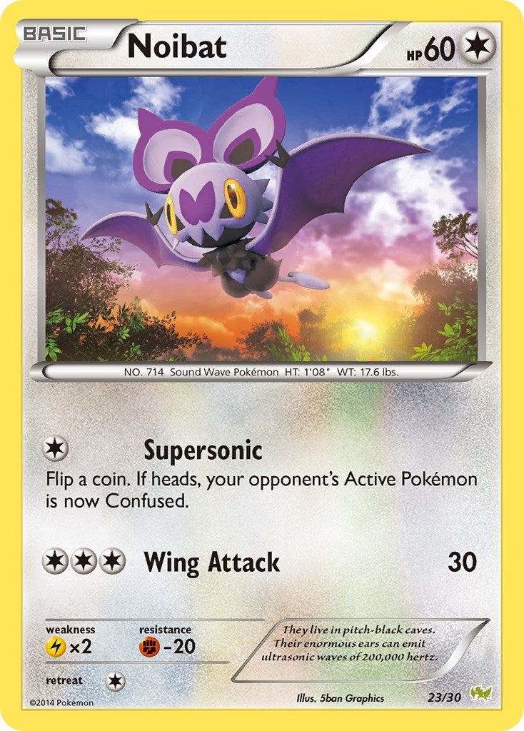 Image for Noibat (#23) (12/30) [XY Trainer Kit: Sylveon & Noivern] - Pokemon